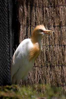 IMG_4505.jpg