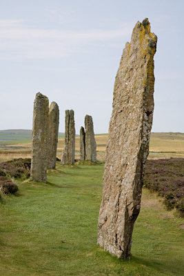 Ring of Brodgar (7/29/08)
