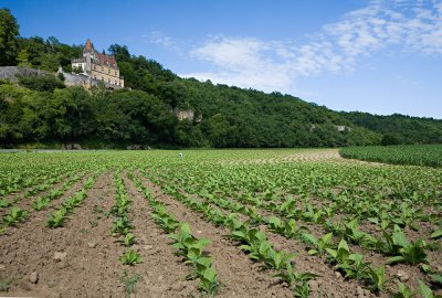 Between Sarlat and Les Eyzies (7/4/08)