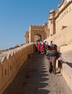 The tourist trail up to the Amber fort (3/1/09)