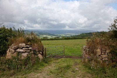 Above Moretonhampstead, looking towards the high moors (7/7/09)
