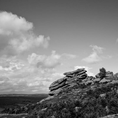 Hound Tor (7/6/09)