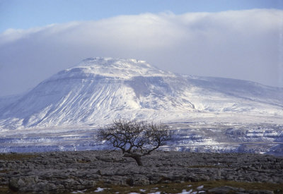 Yorkshire Dales