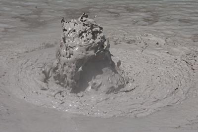 Boiling Mudpool, Waiotapu
