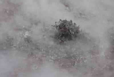 Boiling Pool, Hell's Gate
