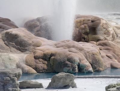 Pohutu Geyser, Whakarewarewa