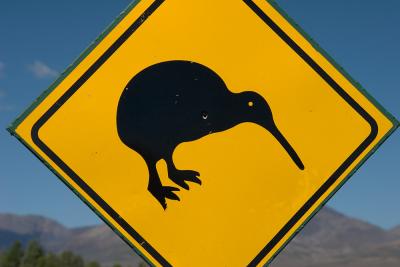 Kiwi