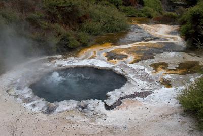 Hot Pool, Whakarewarewa