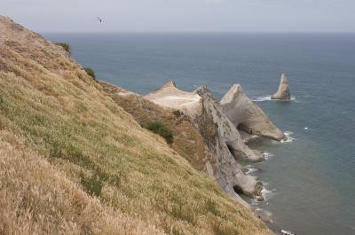Cape Kidnappers