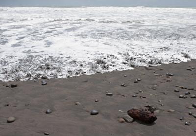 Oakura Beach