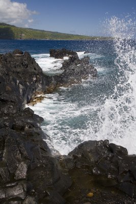 Honolulu Nui Bay (9/1/06)