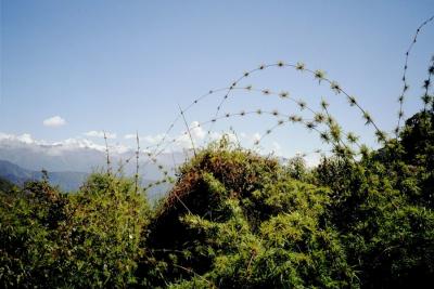  Nature guards Incas' secrets