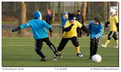 20090201153451_01.jpg
