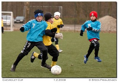 20090201154203_01.jpg