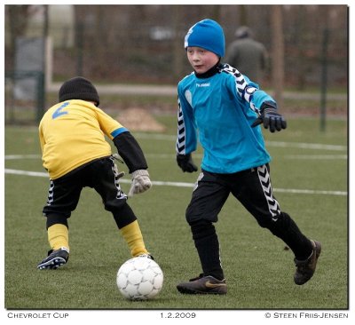 20090201155320_01.jpg