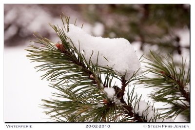 20100220121652.jpg