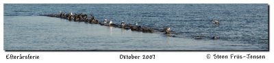 20071015162038.jpg