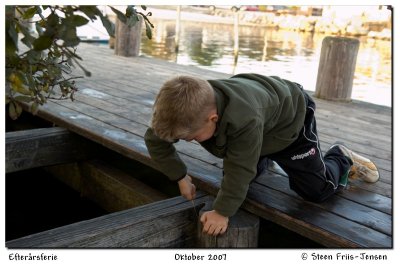 20071015170358.jpg