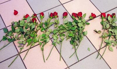 Roses on a floor