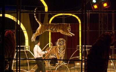 At the circus