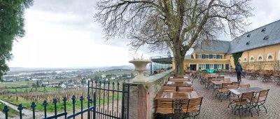 Looking towards the Rhine