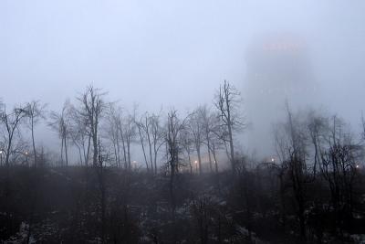 Foggy Falls