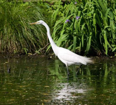 greategret_1297-Edit-2.jpg
