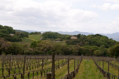 napa-1776.jpg