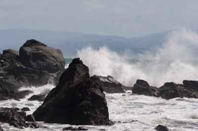 muir beach-2076.jpg