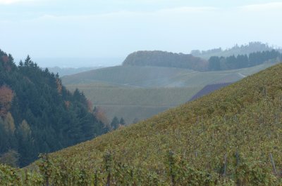 DSC_0037a.jpg