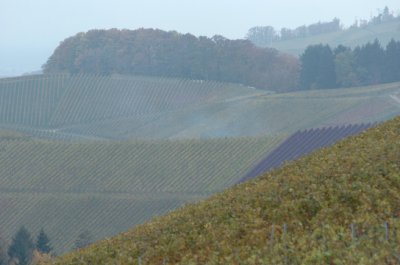 DSC_0042a.jpg