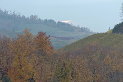 DSC_0046a.jpg