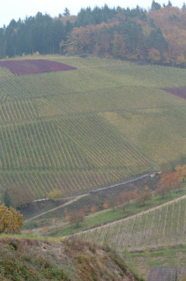 DSC_0060a.jpg