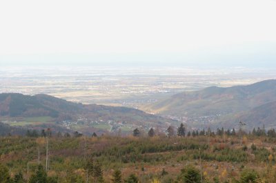 DSC_0256a.jpg