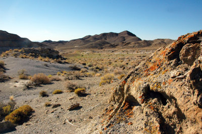 Rawhide 7 .jpg