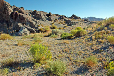 Rawhide 8.jpg