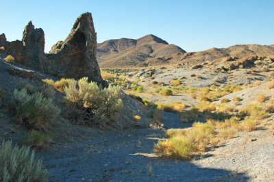 Rawhide Sage 4.jpg