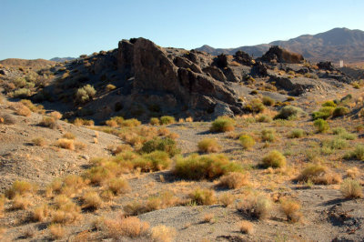 Rawhide Sage 5.jpg