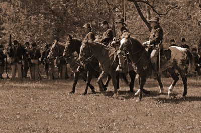Regal Cavalry