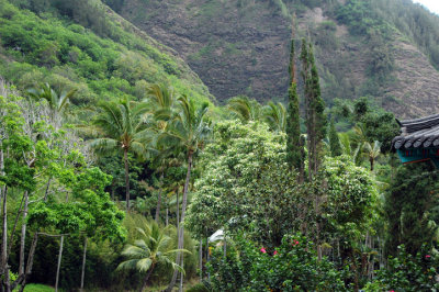 DSC_8320 copy.jpg