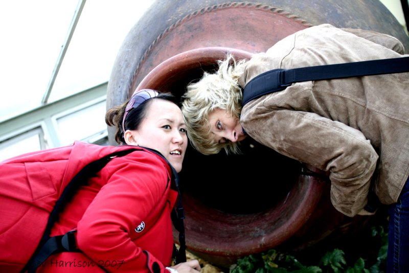 how many pbasers can you get in a plant pot?