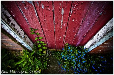 boundary farm