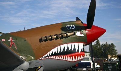 P40 Warhawk noseart