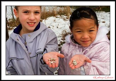 Jan 1 sunflower seeds