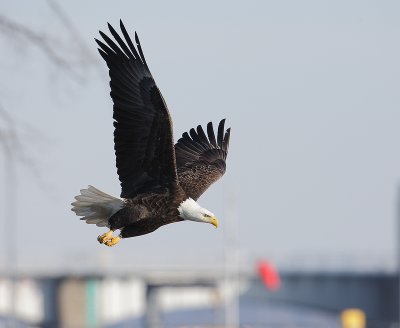 0A6Q5501a.jpg