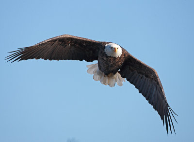 0A6Q5805aultimate.jpg