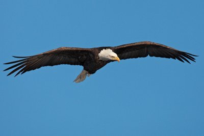 0A6Q6019a.jpg