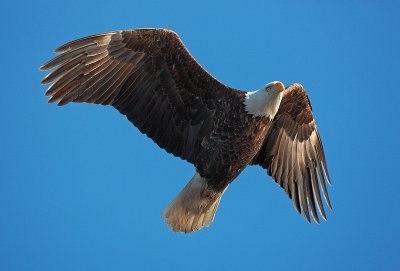 0A6Q6040a.jpg