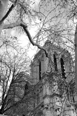 4257. Notre Dame