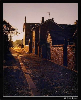 Evening Light